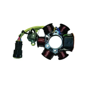 Popular STATOR MOTO