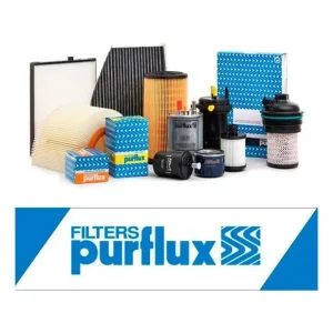 Filtro Purflux AH521 Mejor Precio